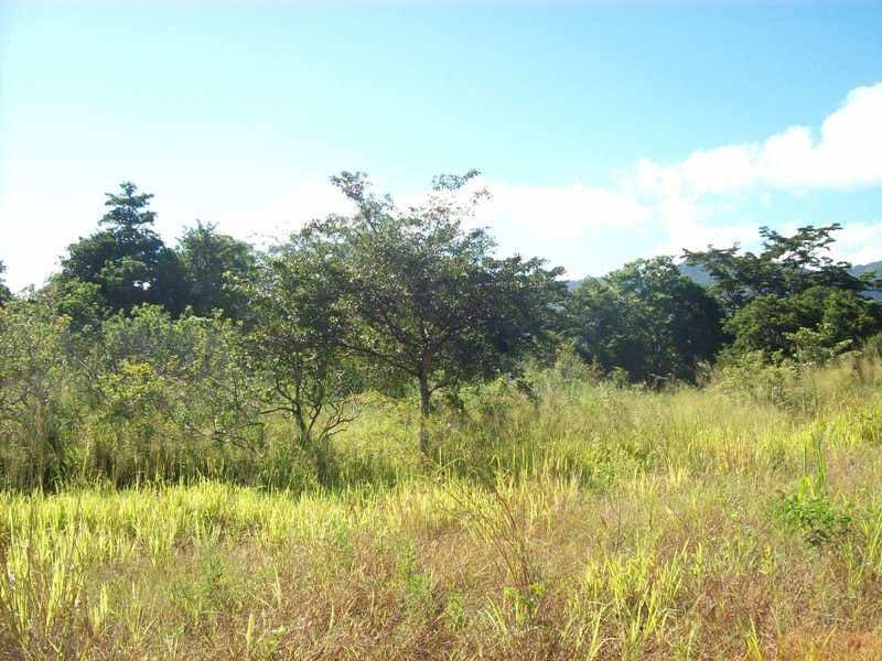 Lot 1 Paluma Road, CANNONVALE QLD 4802, Cannonvale - Thumbnail 2