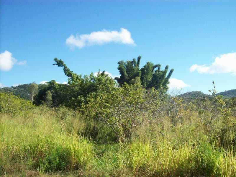 Lot 1 Paluma Road, CANNONVALE QLD 4802, Cannonvale - Thumbnail 3