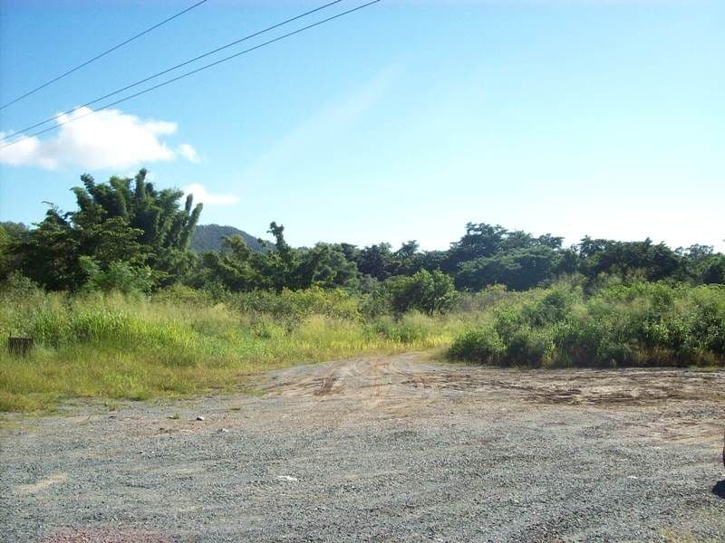 Lot 1 Paluma Road, CANNONVALE QLD 4802, Cannonvale - Thumbnail 4