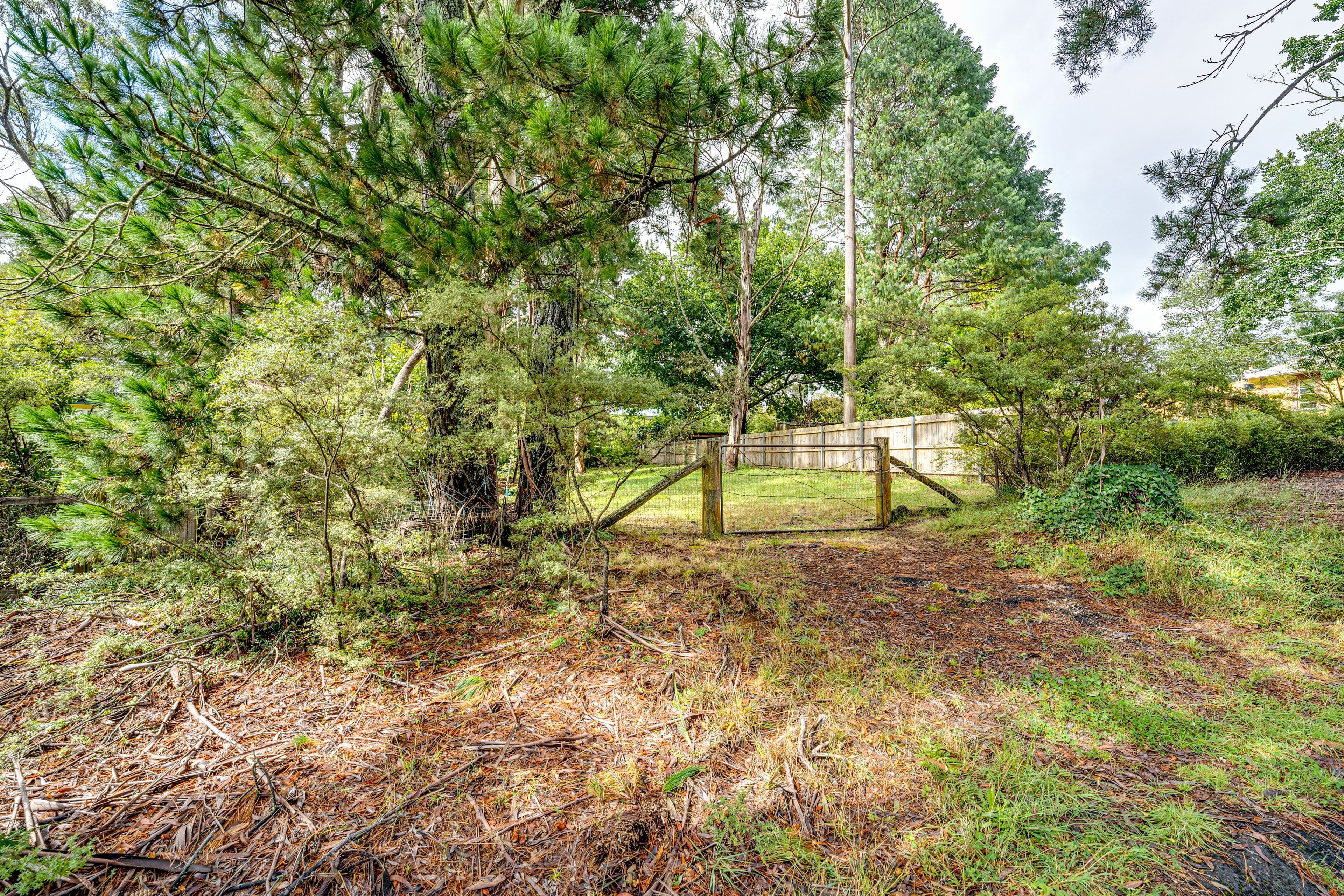 15 St Albans Road, Medlow Bath NSW 2780, Medlow Bath - Thumbnail 3