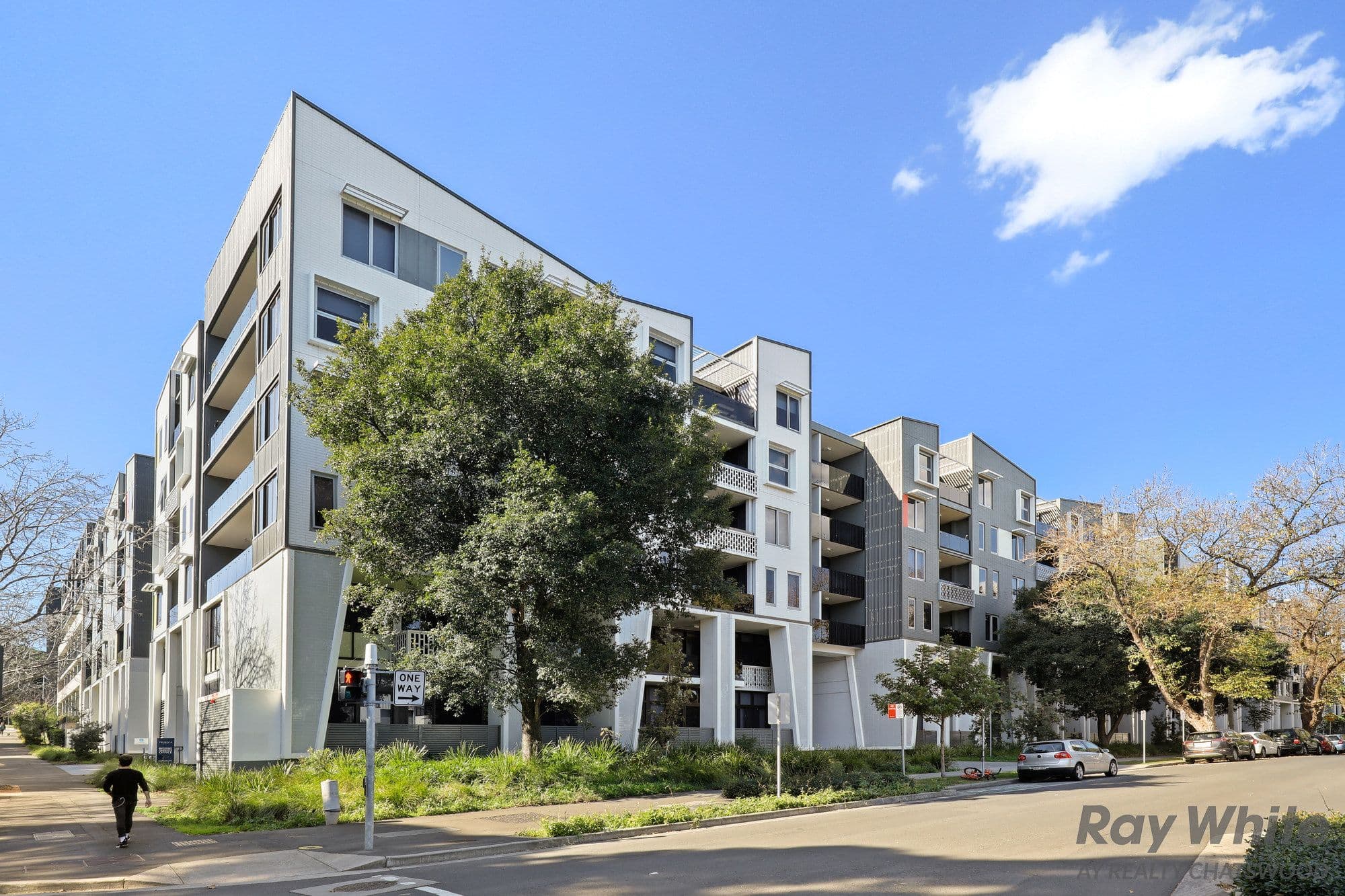 347 George Street, Waterloo NSW 2017, Waterloo - Thumbnail 8