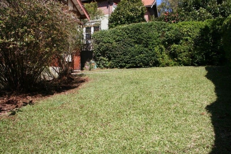 31 Muttama Road, ARTARMON NSW 2064, Artarmon - Thumbnail 4