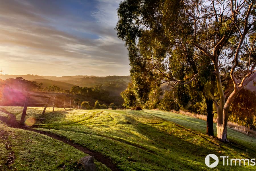 113 Torrens Hill Road, Paracombe - Thumbnail 5