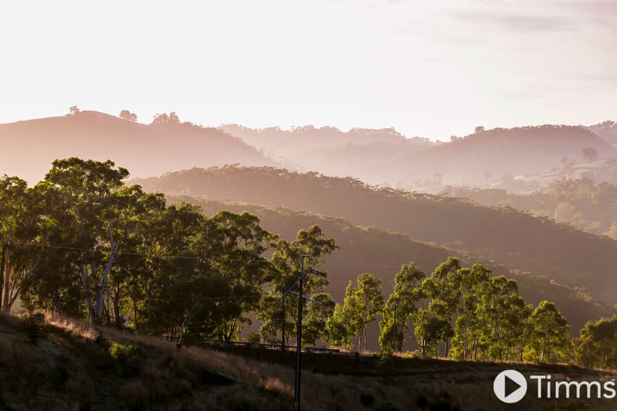 113 Torrens Hill Road, Paracombe - Thumbnail 8