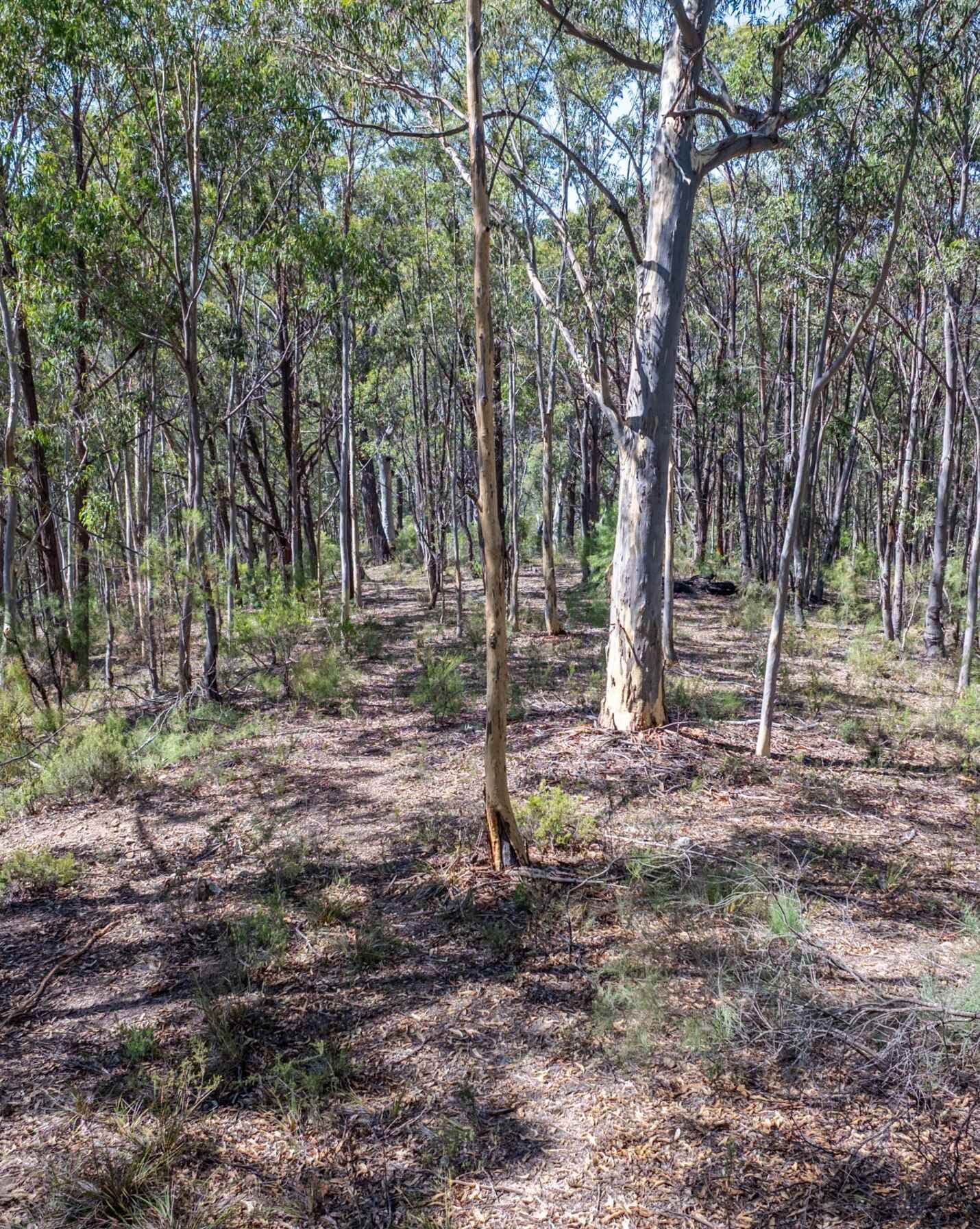 Lot 3422 Blackheath Creek Road Kanimbla, Kanimbla - Image 1