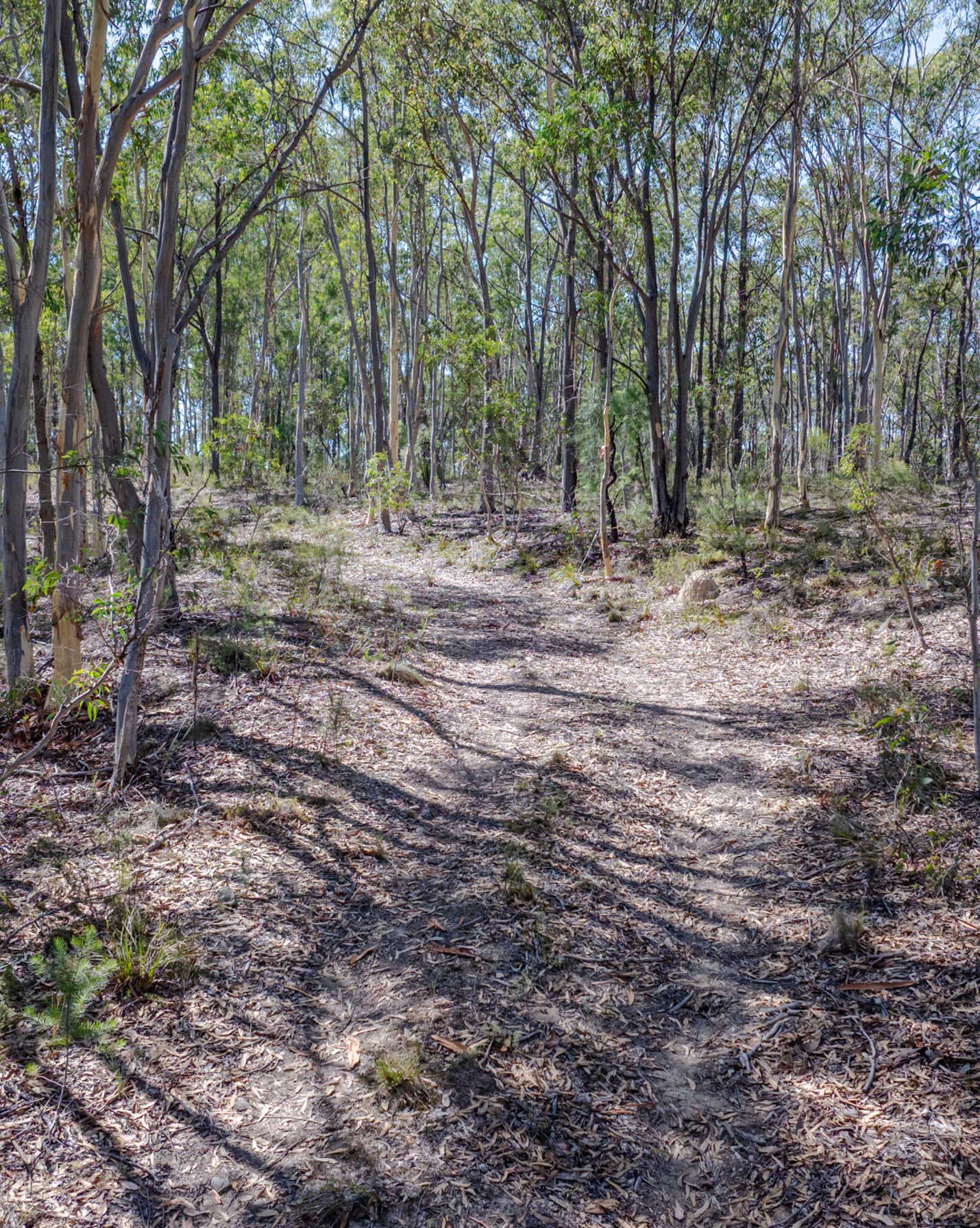 Lot 3422 Blackheath Creek Road Kanimbla, Kanimbla - Thumbnail 2