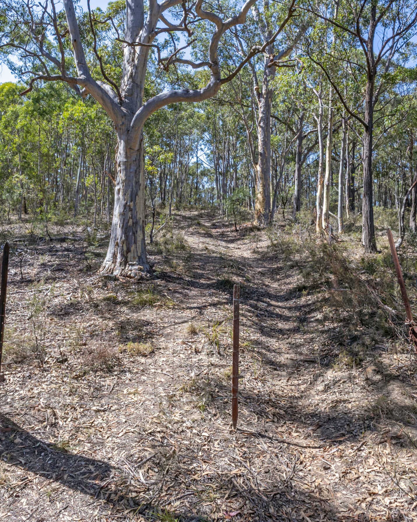 Lot 3422 Blackheath Creek Road Kanimbla, Kanimbla - Thumbnail 3
