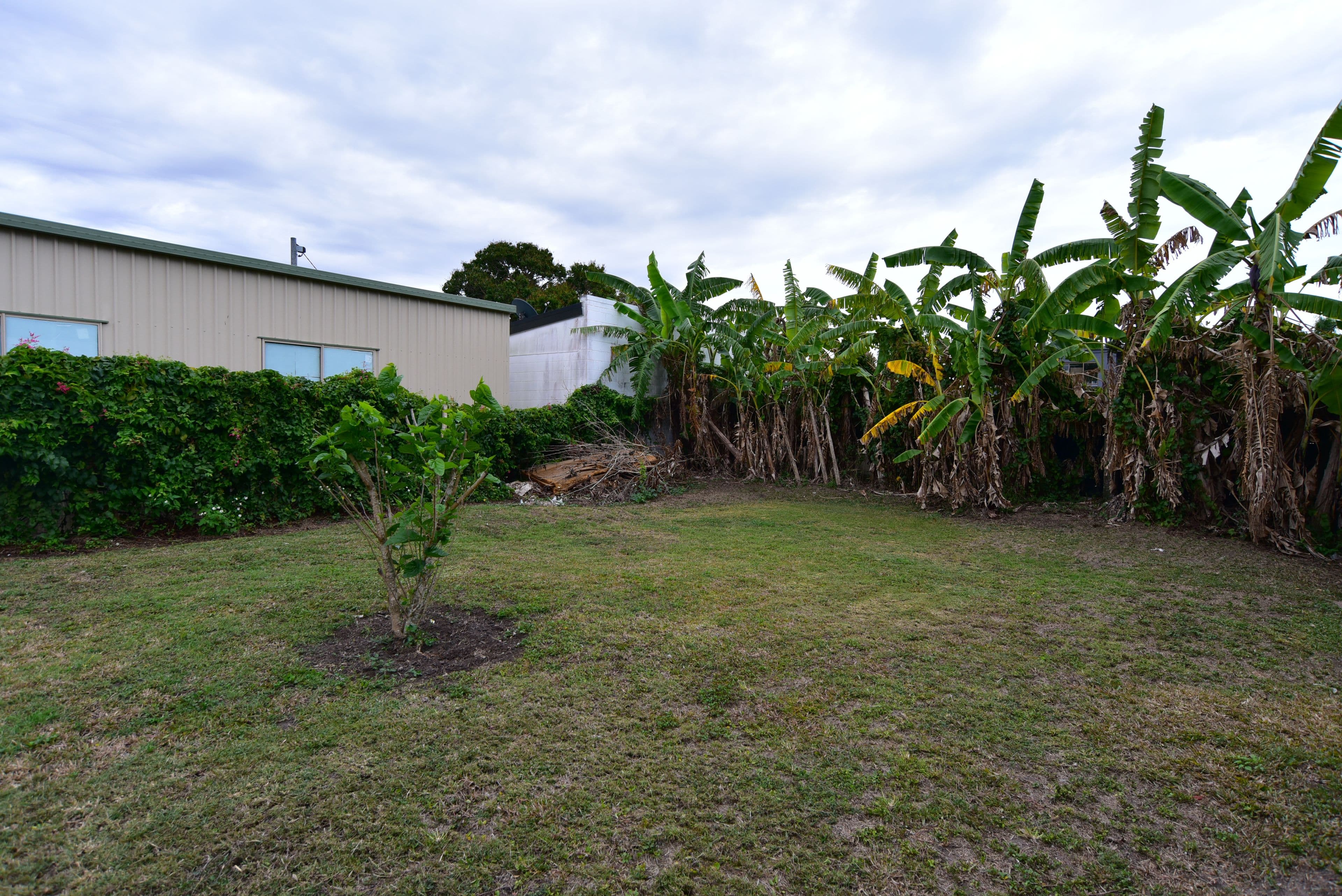 3 Davy Avenue, Proserpine QLD 4800, Proserpine - Thumbnail 6