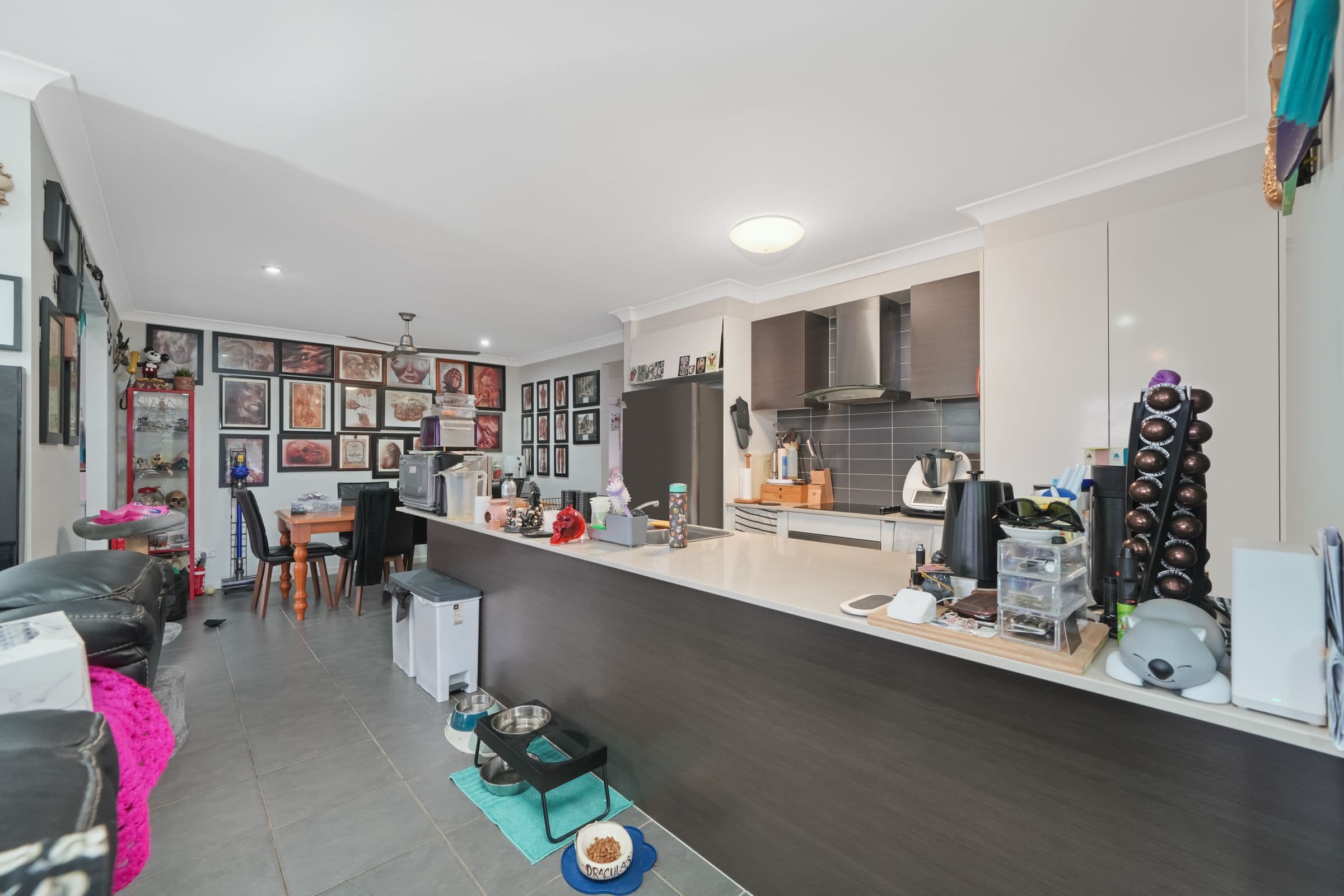10 Hubner Drive, Rothwell QLD 4022, Rothwell - Thumbnail 3