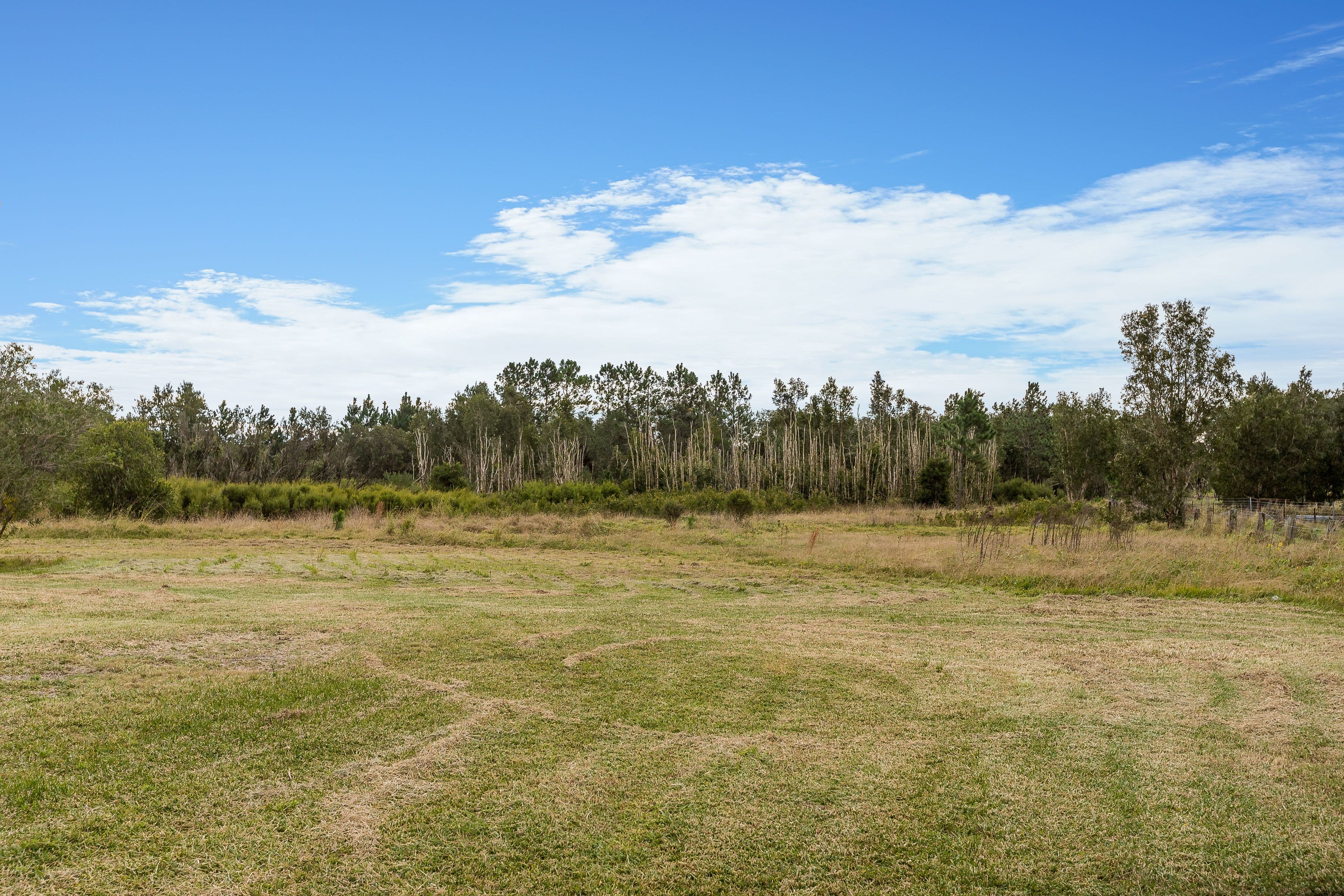260 Cabbage Tree Road, Williamtown NSW 2318, Williamtown - Thumbnail 4