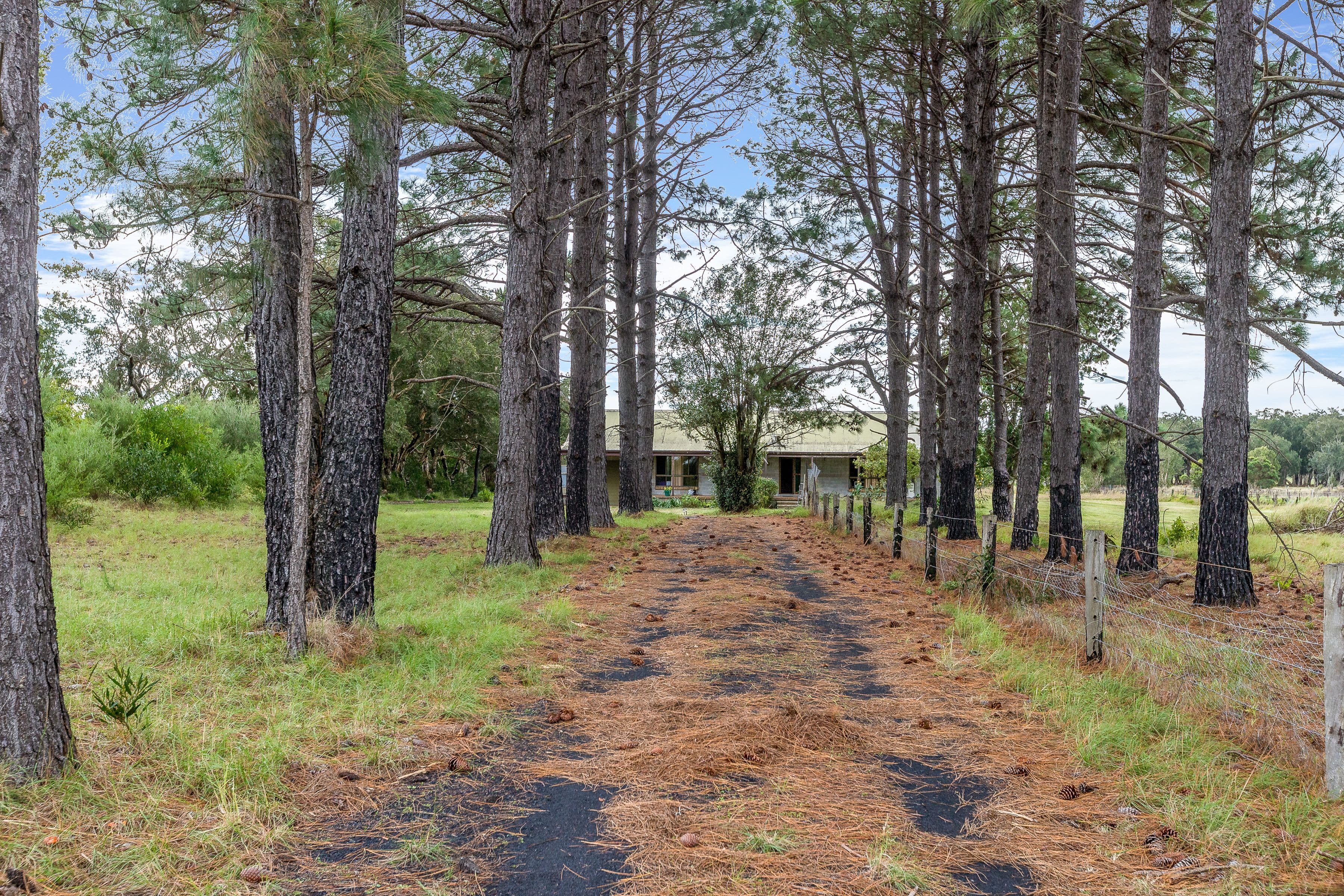 260 Cabbage Tree Road, Williamtown NSW 2318, Williamtown - Thumbnail 5