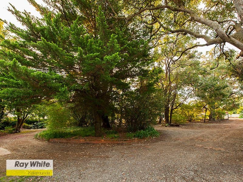 87 Lesmurdie Road, Lesmurdie WA 6076, Lesmurdie - Thumbnail 4
