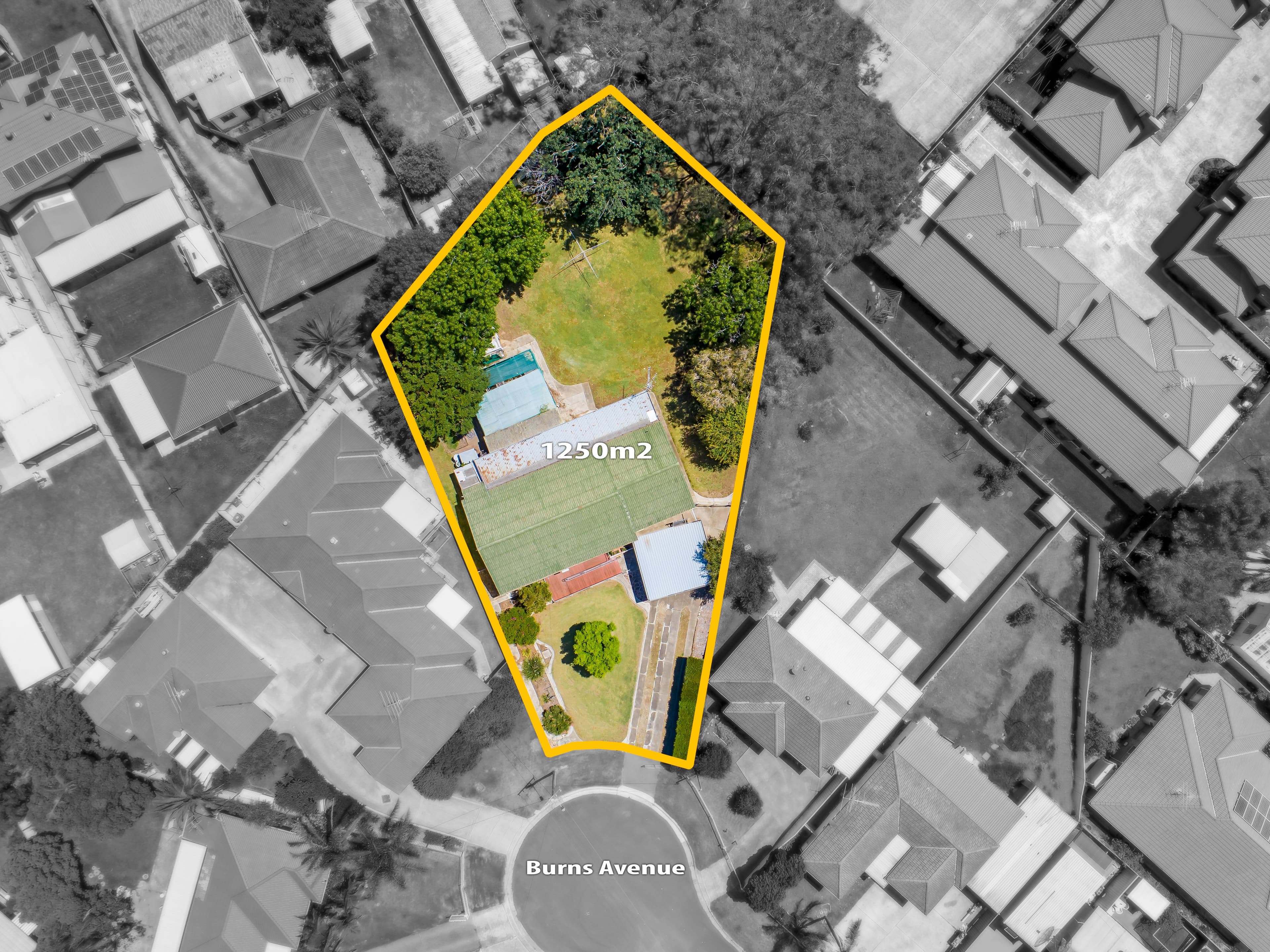 5 Burns Avenue, Macquarie Fields NSW 2564, Macquarie Fields - Image 1