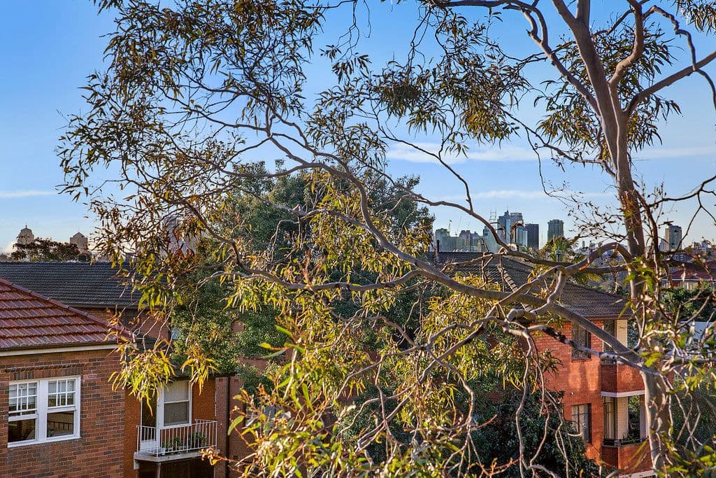 2-4 Frances Street, Randwick NSW 2031, Randwick - Thumbnail 4