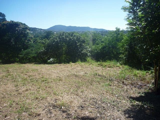 9 Kingfisher Close, EARLVILLE QLD 4870, Earlville - Thumbnail 6