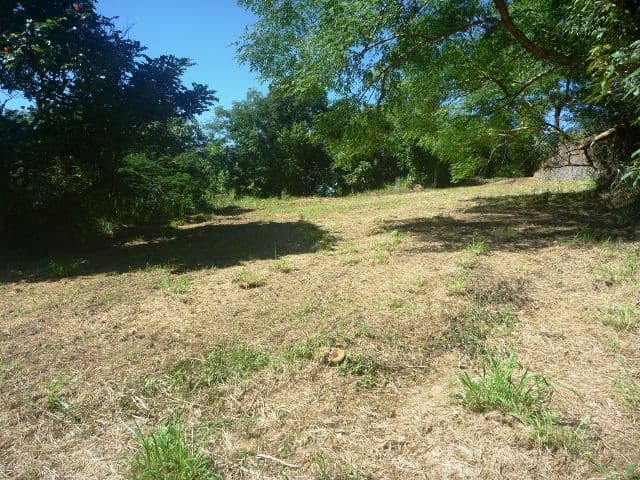 9 Kingfisher Close, EARLVILLE QLD 4870, Earlville - Thumbnail 7