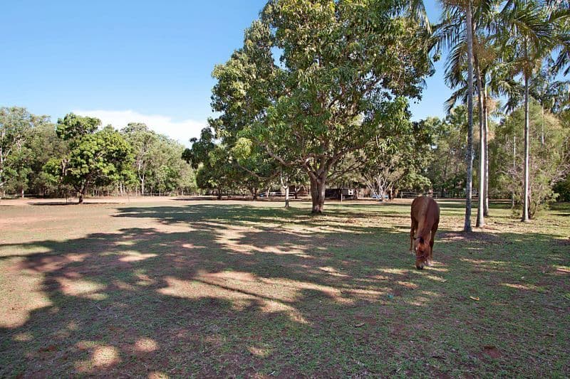100 Pheasant Drive, MCMINNS LAGOON NT 0822, McMinns Lagoon - Thumbnail 5