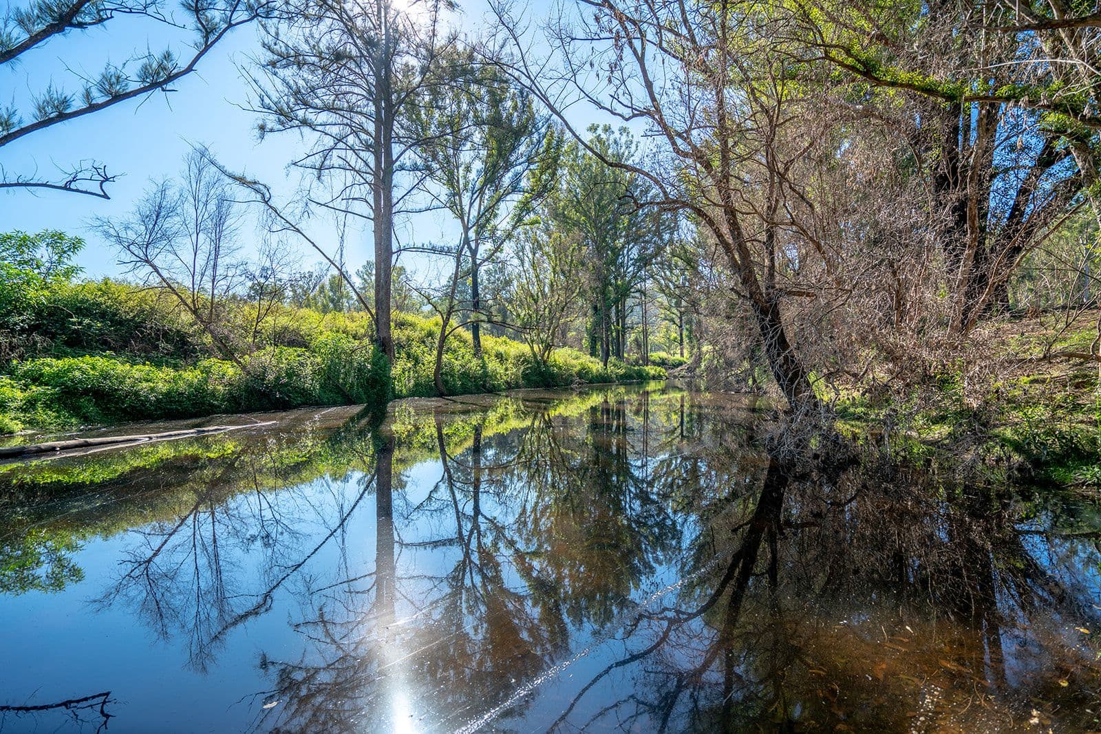 420 Abernathy's Road, Budgong NSW 2577, Budgong - Image 1