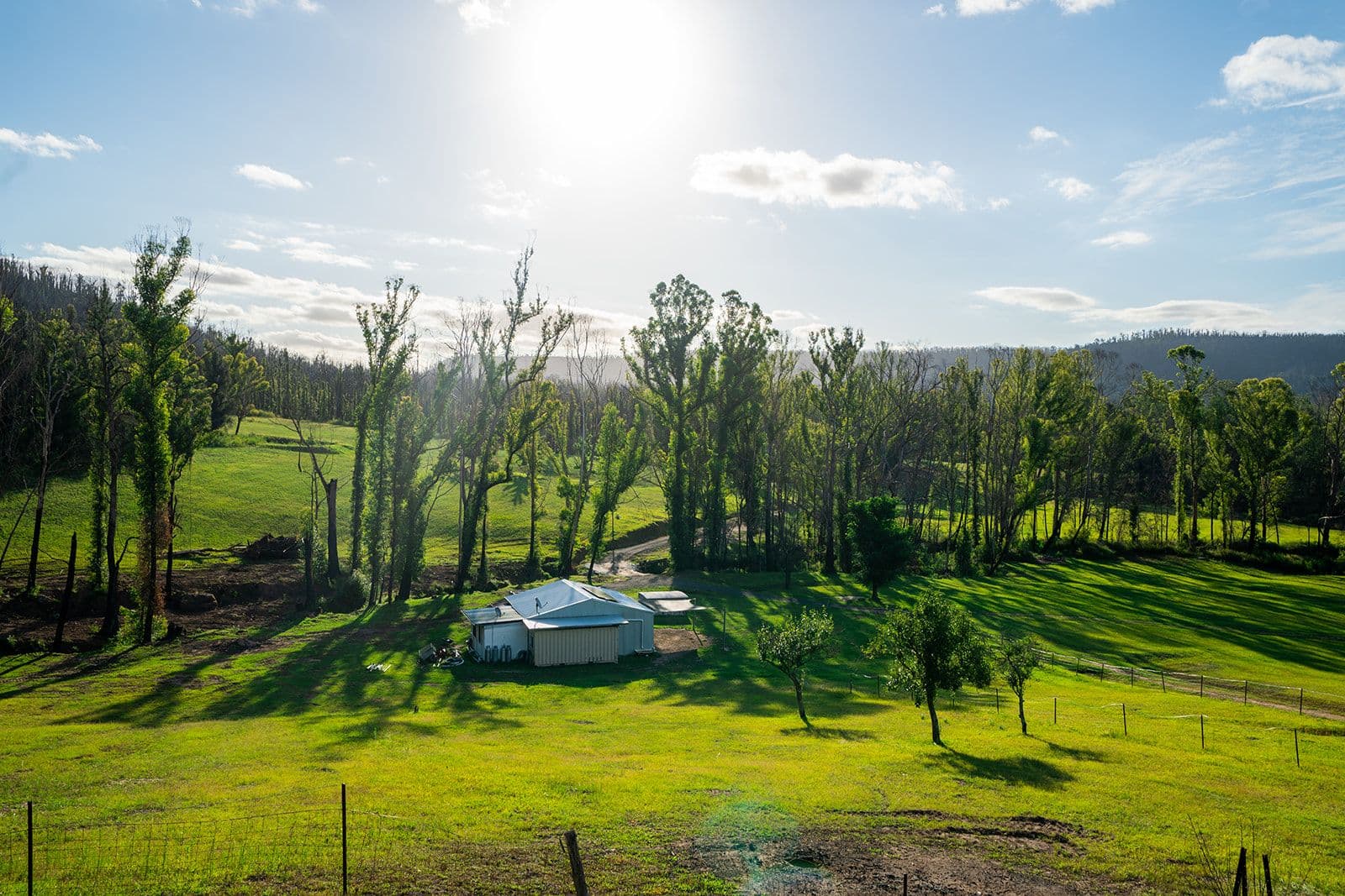 420 Abernathy's Road, Budgong NSW 2577, Budgong - Thumbnail 2