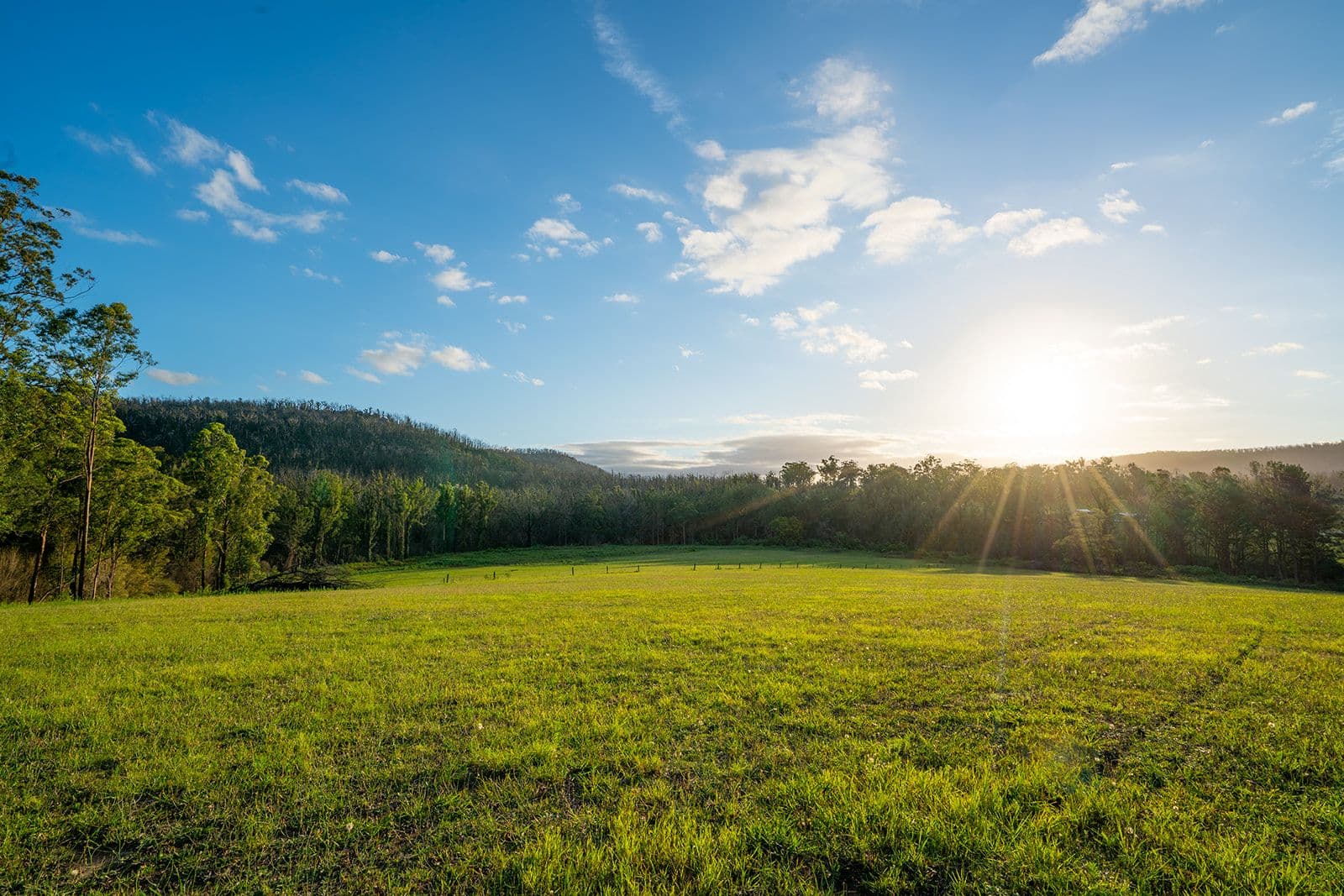 420 Abernathy's Road, Budgong NSW 2577, Budgong - Thumbnail 4