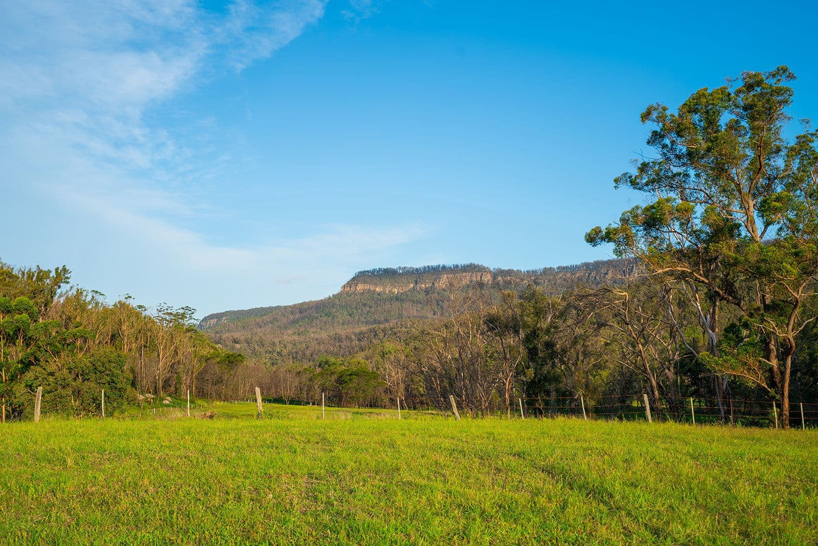 420 Abernathy's Road, Budgong NSW 2577, Budgong - Thumbnail 5