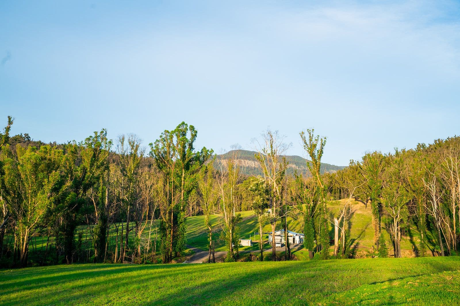 420 Abernathy's Road, Budgong NSW 2577, Budgong - Thumbnail 6