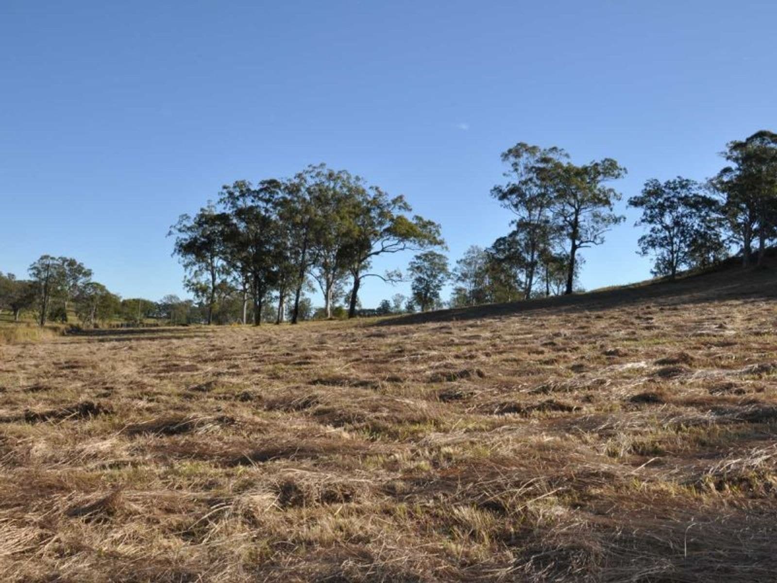Lot 3,685 Lot 3,685 Spring Grove Rd, North Casino - Thumbnail 5