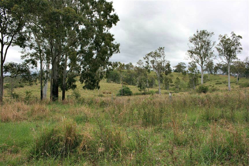 24 Willet Road, Sarina Range QLD 4737, Sarina Range - Thumbnail 5