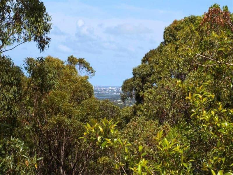 4 Aquila Court, BLI BLI QLD 4560, Bli Bli - Thumbnail 2