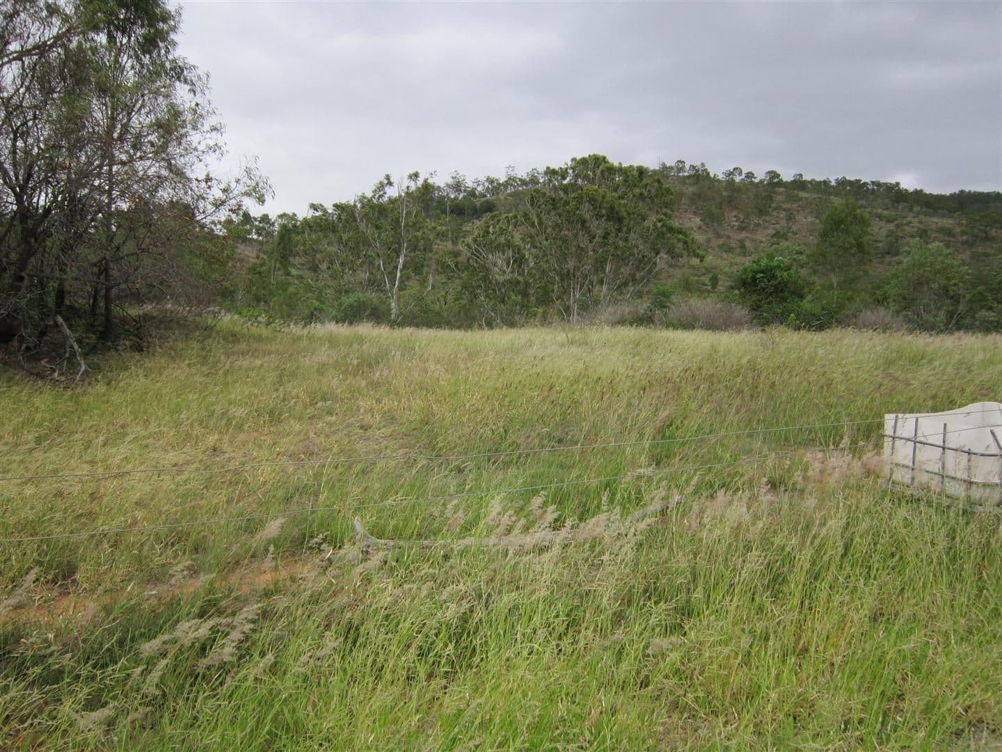 17 Randwick Lane, BOULDER CREEK QLD 4714, Boulder Creek - Thumbnail 2