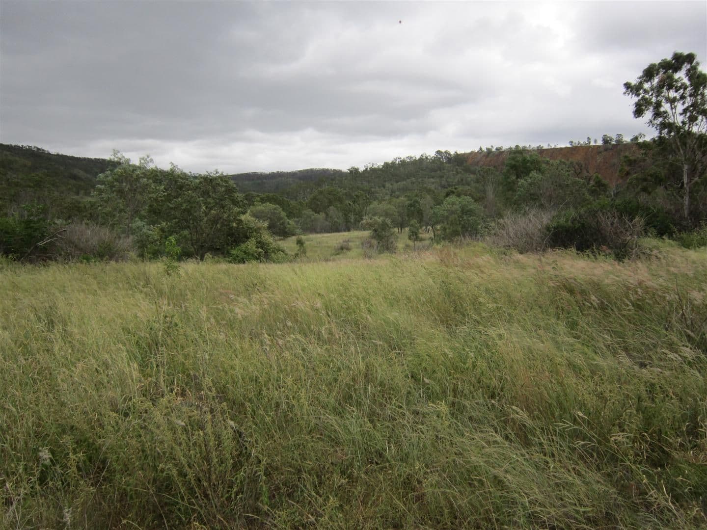 17 Randwick Lane, BOULDER CREEK QLD 4714, Boulder Creek - Thumbnail 3