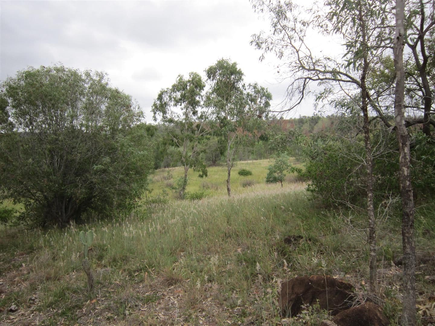 17 Randwick Lane, BOULDER CREEK QLD 4714, Boulder Creek - Thumbnail 4