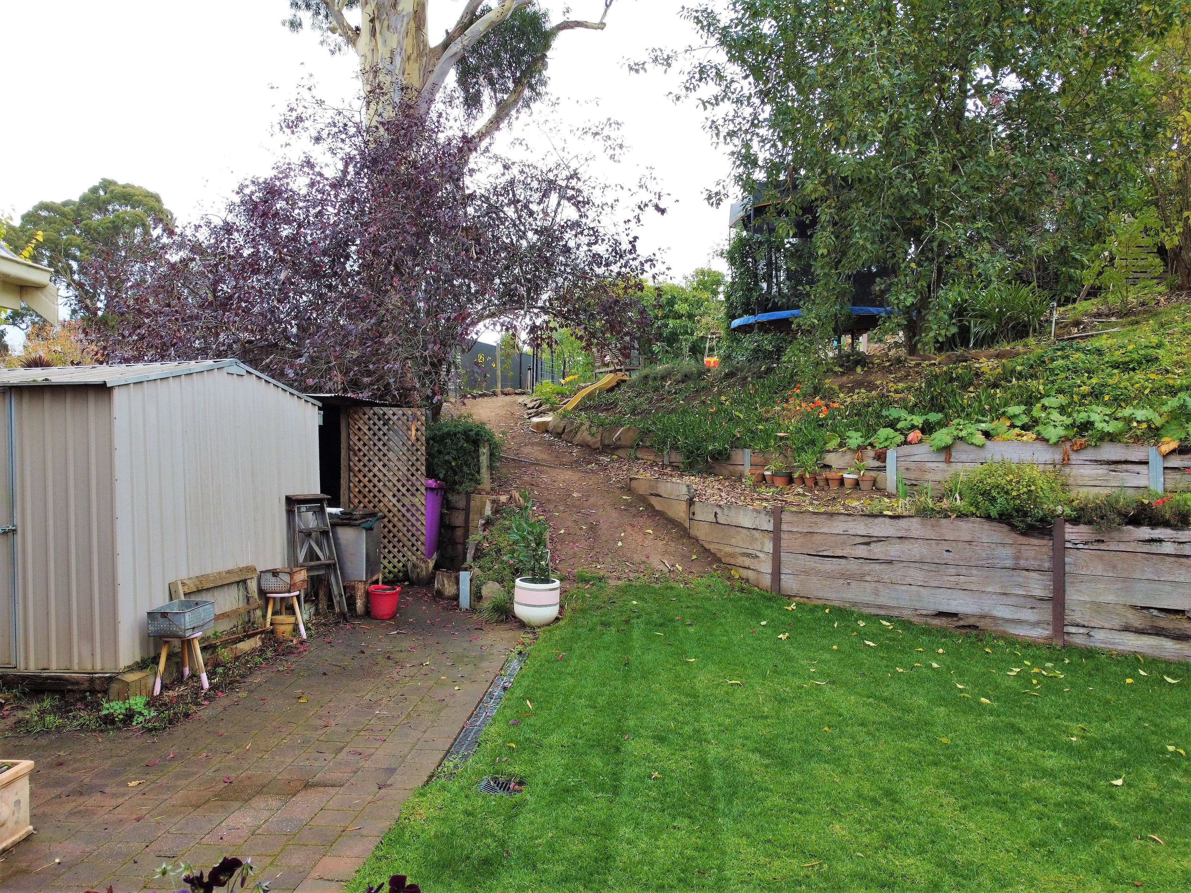 13 Jacaranda Drive, Woodside SA 5244, Woodside - Thumbnail 6