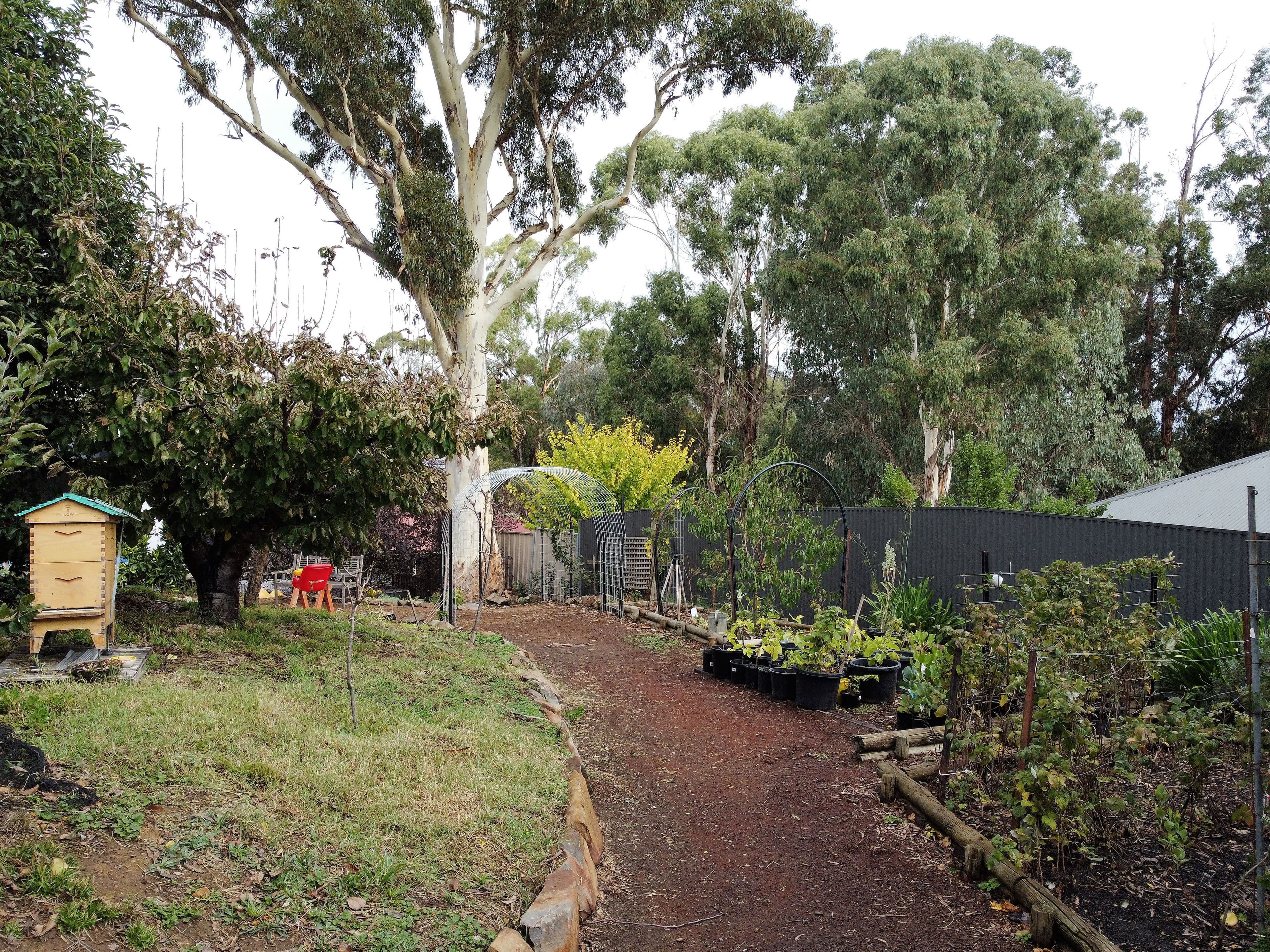 13 Jacaranda Drive, Woodside SA 5244, Woodside - Thumbnail 8