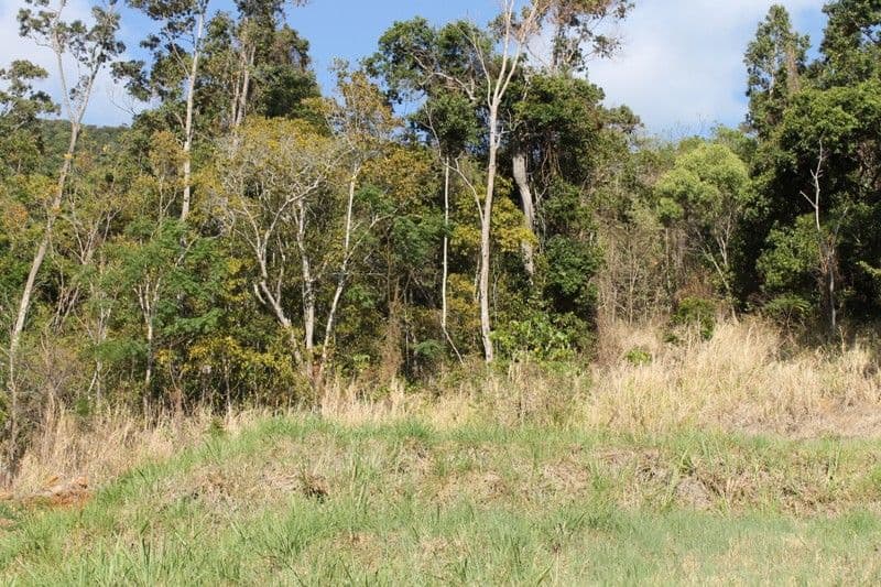 3 Armada Crescent, JUBILEE POCKET QLD 4802, Jubilee Pocket - Thumbnail 3