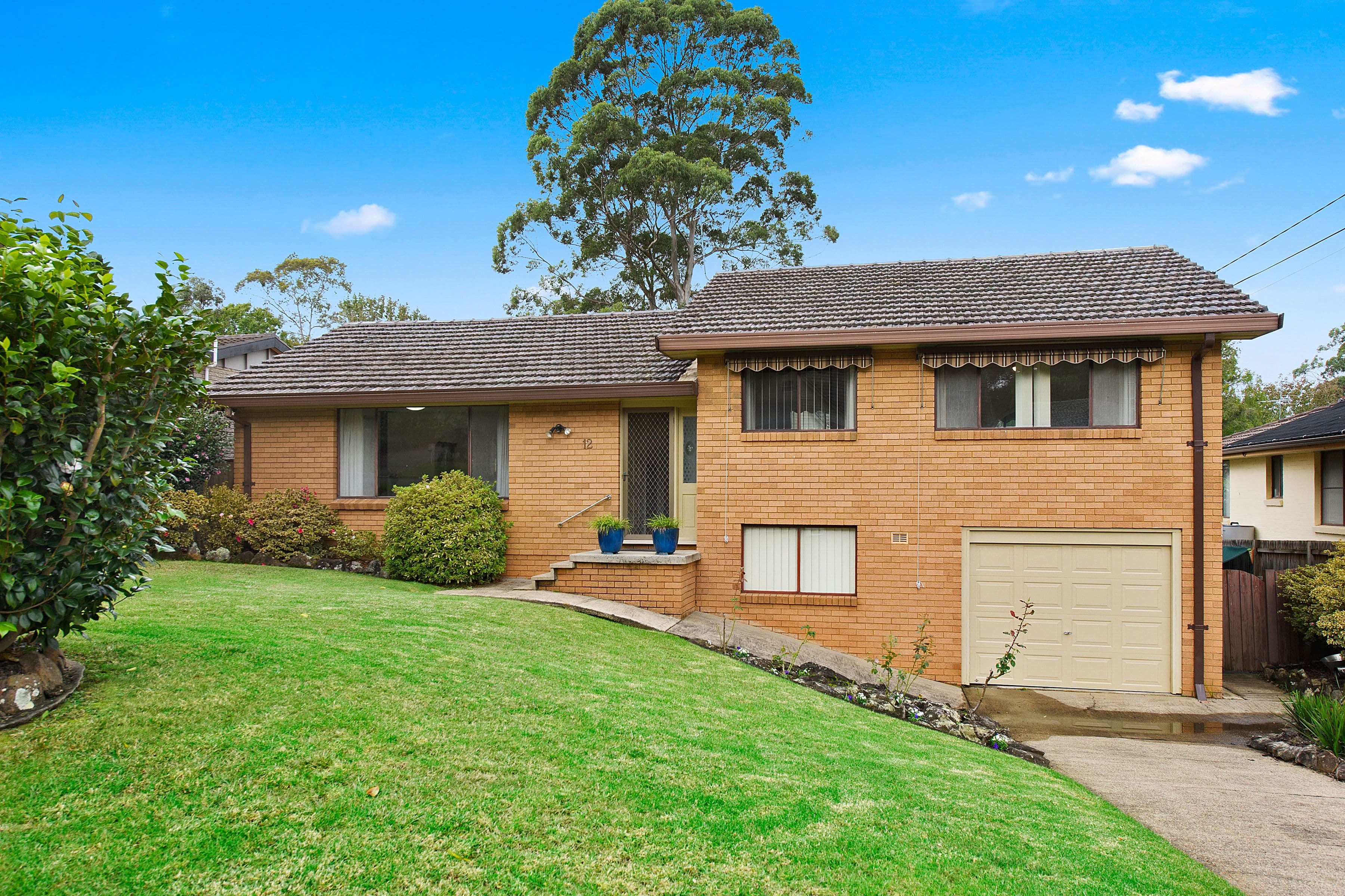 12 Dobson Street, Thornleigh NSW 2120, Thornleigh - Image 1