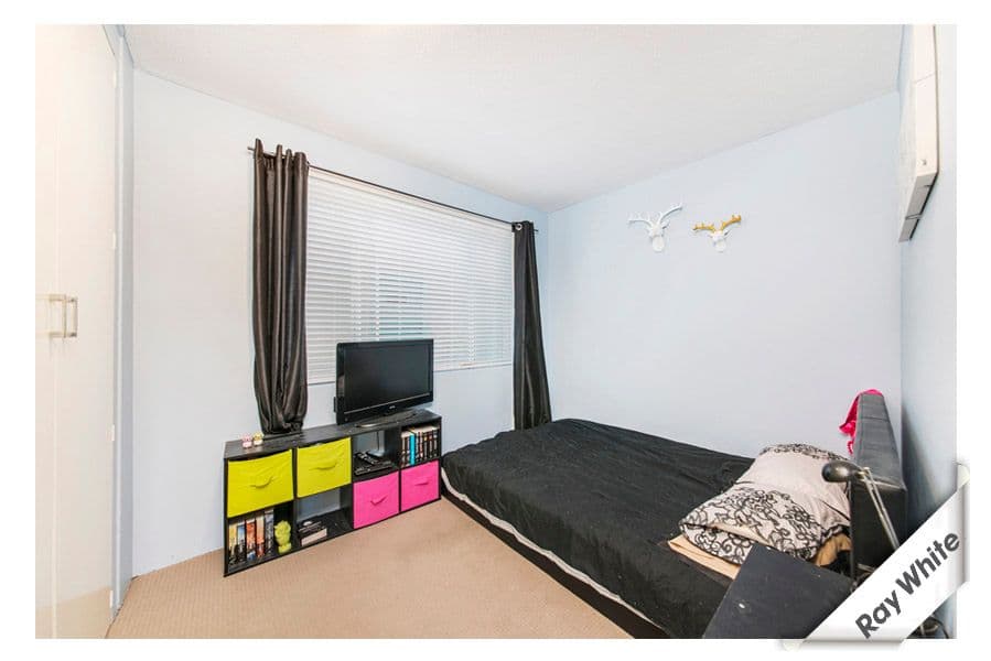6 Heard Street, Mawson ACT 2607, Mawson - Thumbnail 8