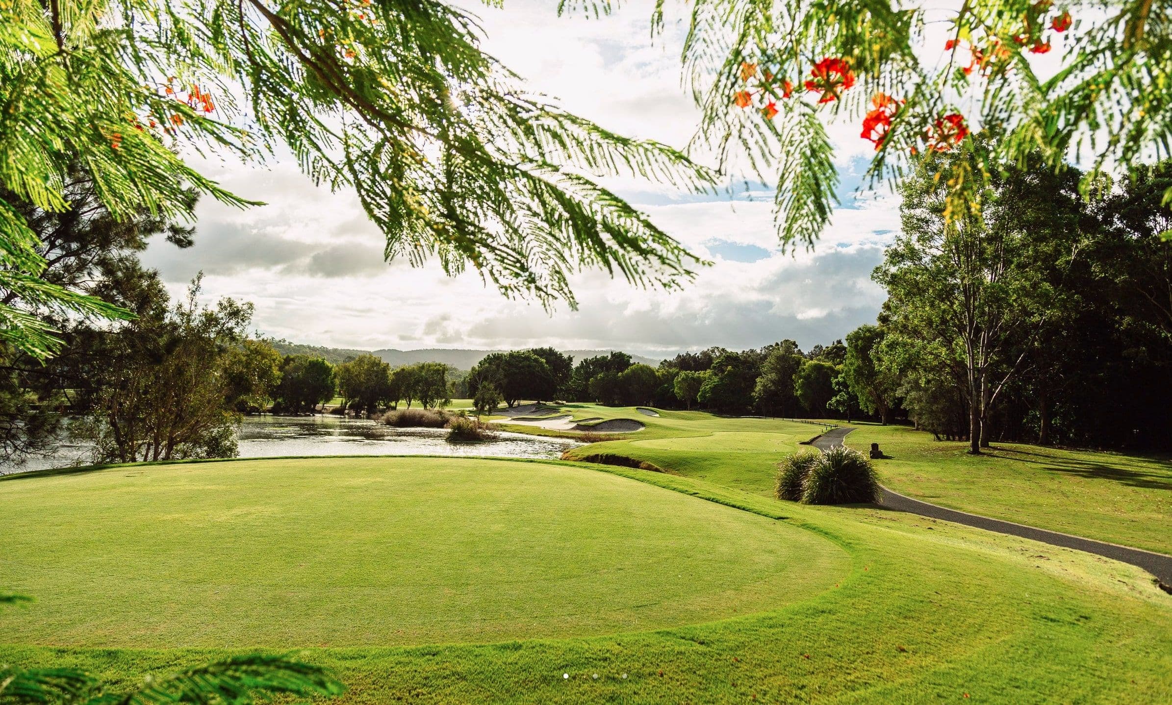 41 Peninsula Drive, Robina QLD 4226, Robina - Thumbnail 2