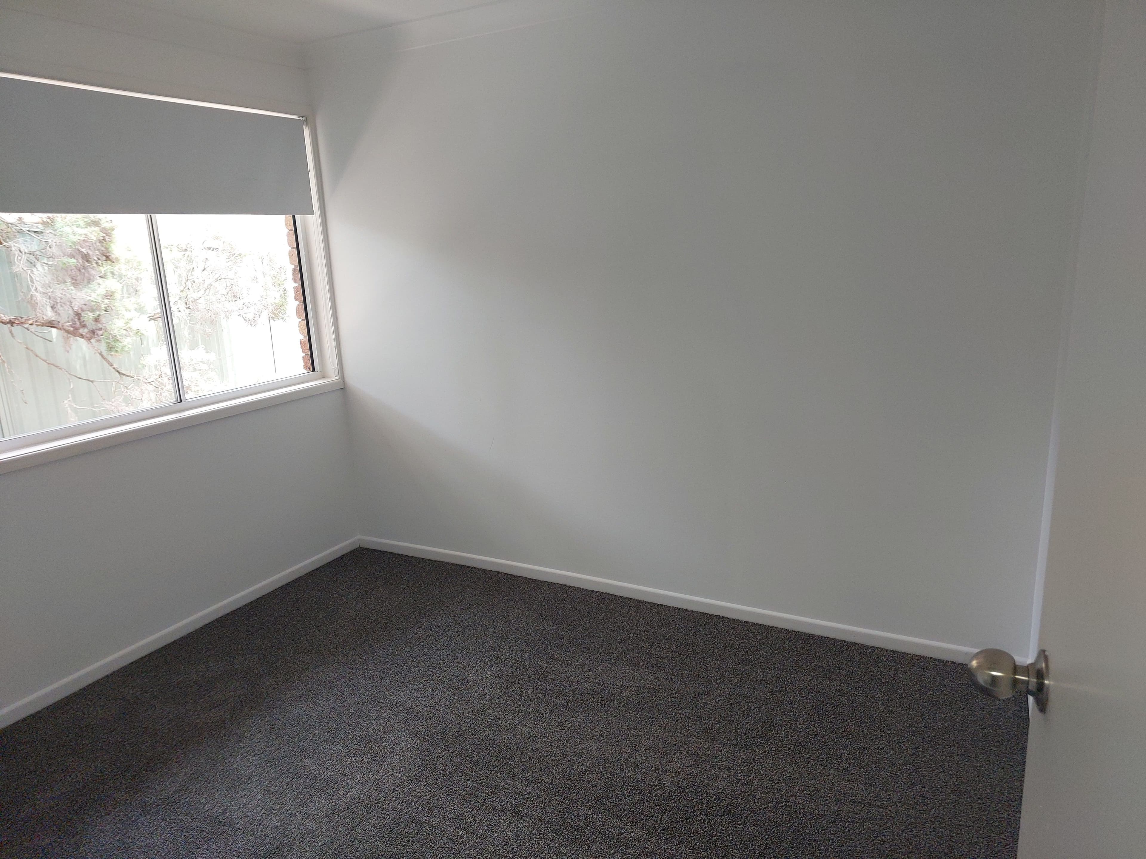 6 Bunya Court, Helensvale QLD 4212, Helensvale - Thumbnail 7