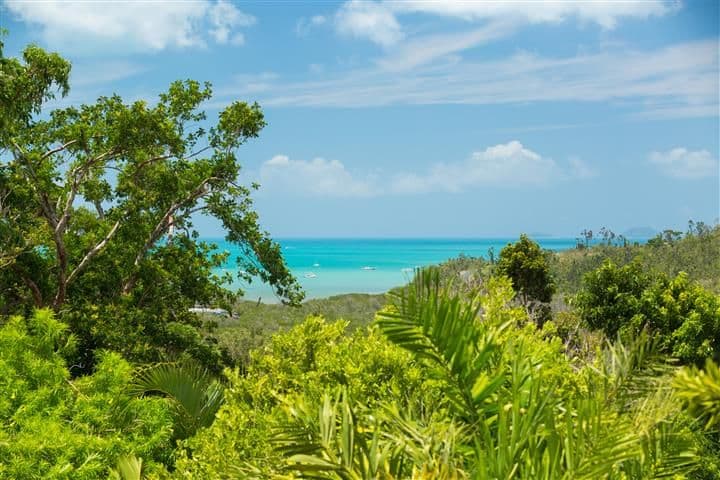 9 Cedar Court, Jubilee Pocket QLD 4802, Jubilee Pocket - Thumbnail 2