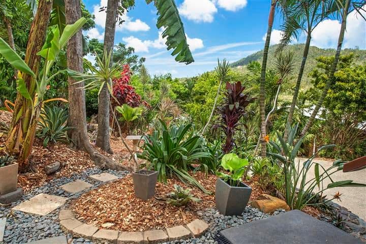 9 Cedar Court, Jubilee Pocket QLD 4802, Jubilee Pocket - Thumbnail 6