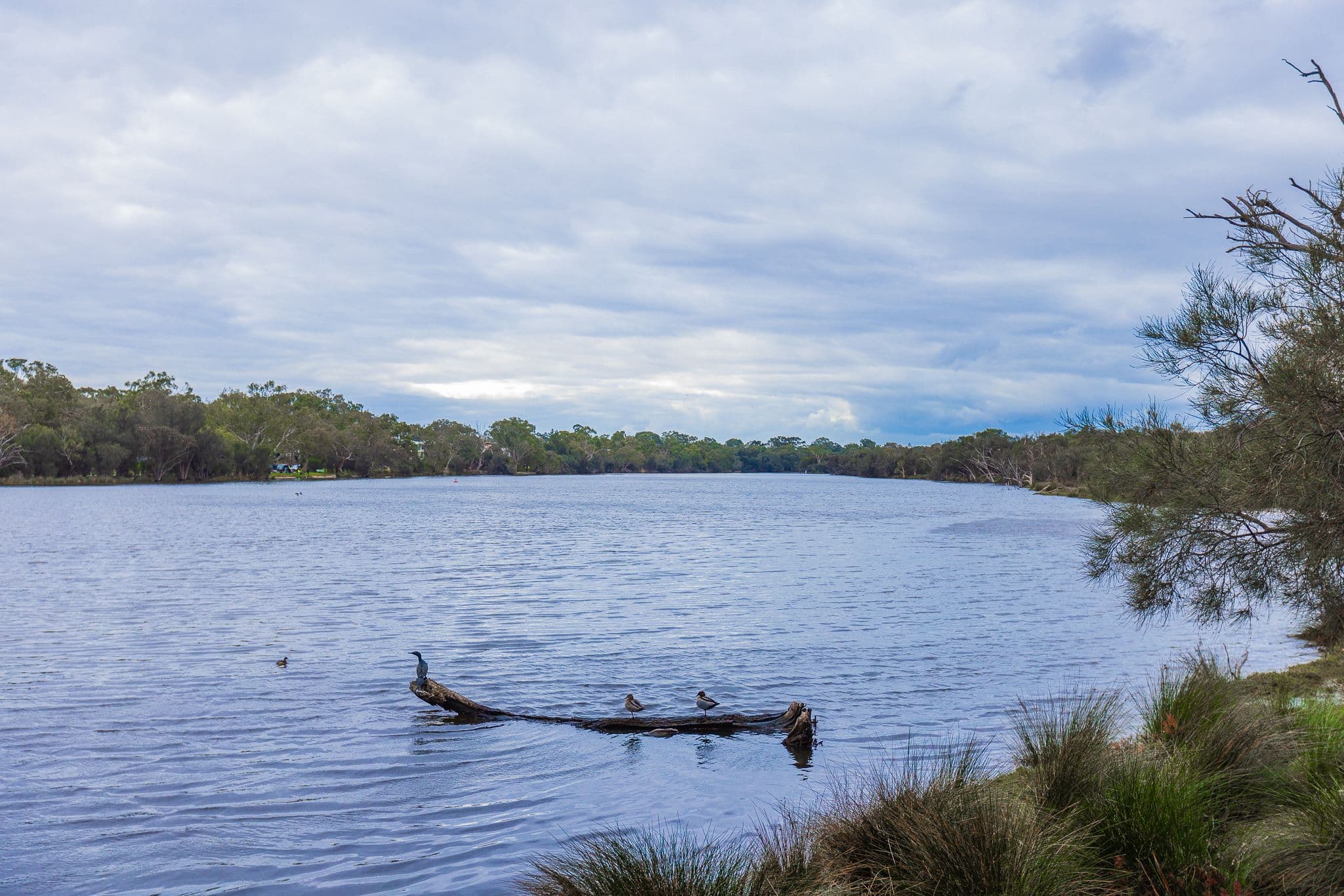 19 Kanowna Avenue, Ascot WA 6104, Ascot - Thumbnail 2