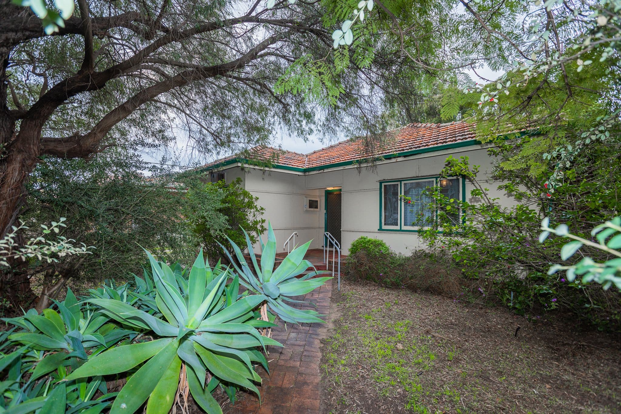 19 Kanowna Avenue, Ascot WA 6104, Ascot - Thumbnail 3