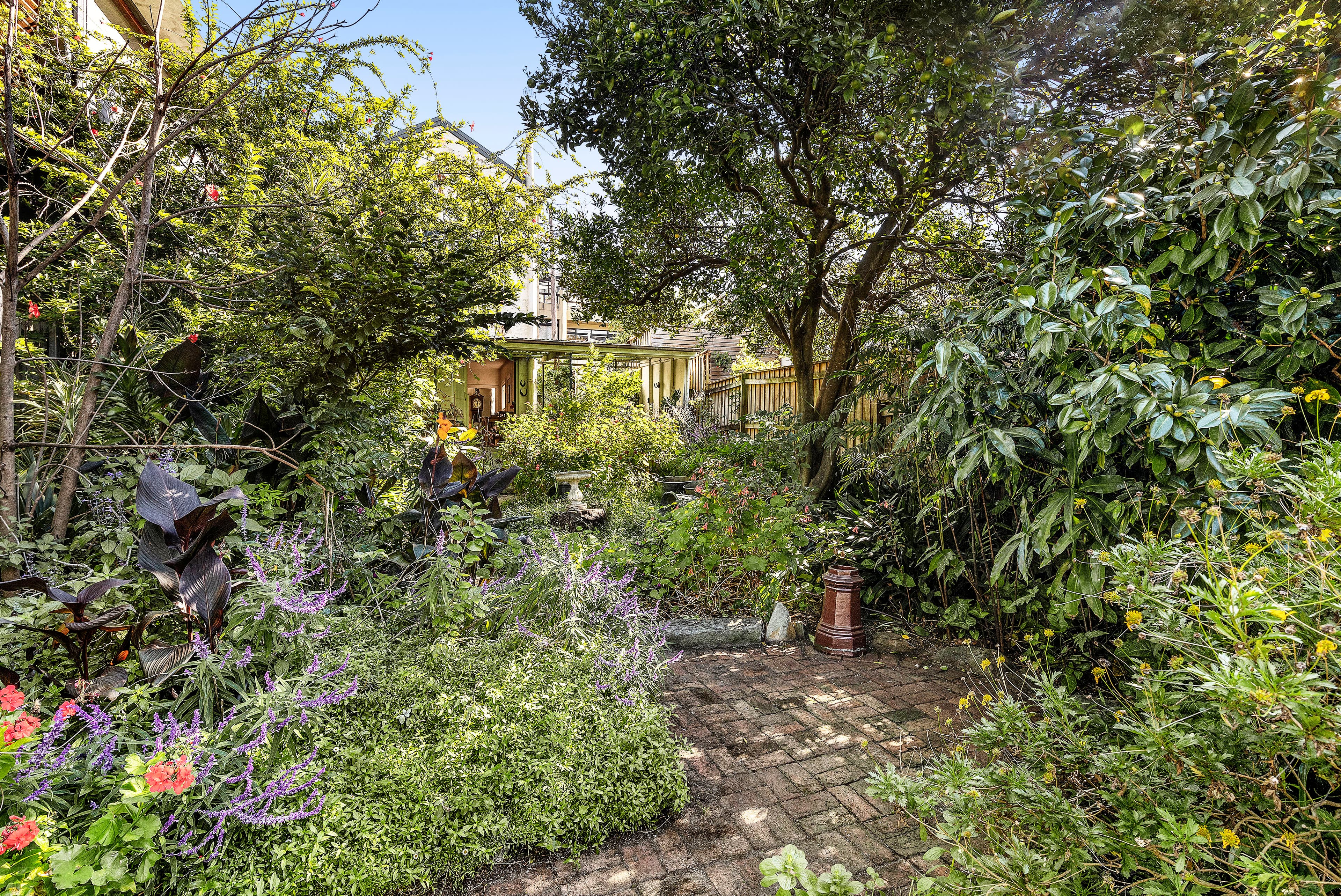 61 Susan Street, Annandale NSW 2038, Annandale - Thumbnail 7