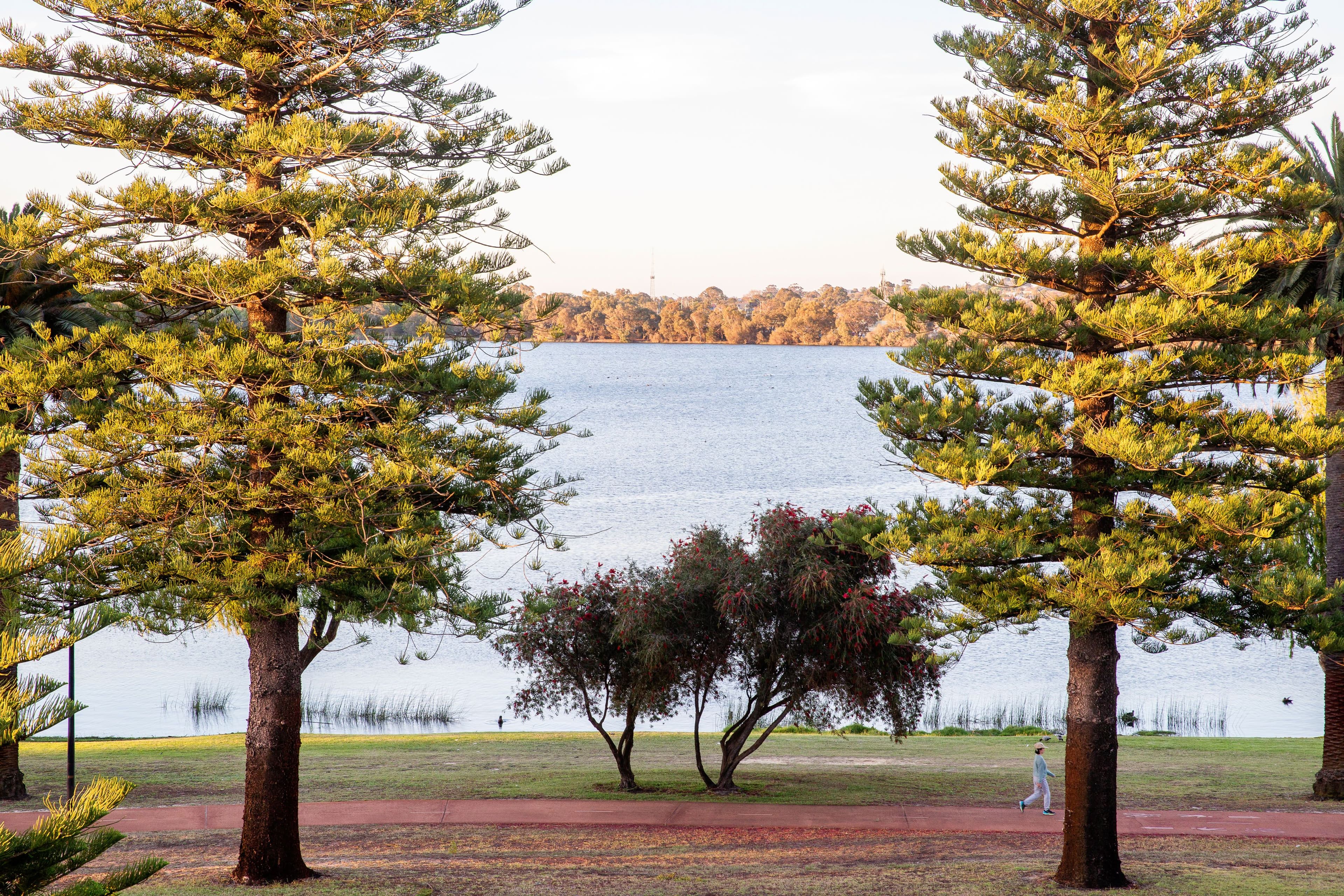 59B Lake Monger Drive, Wembley WA 6014, Wembley - Thumbnail 3