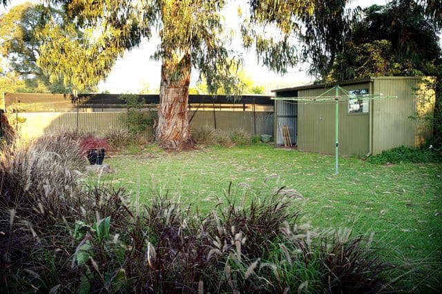 5 Nelson Street, FULLARTON SA 5063, Fullarton - Thumbnail 5
