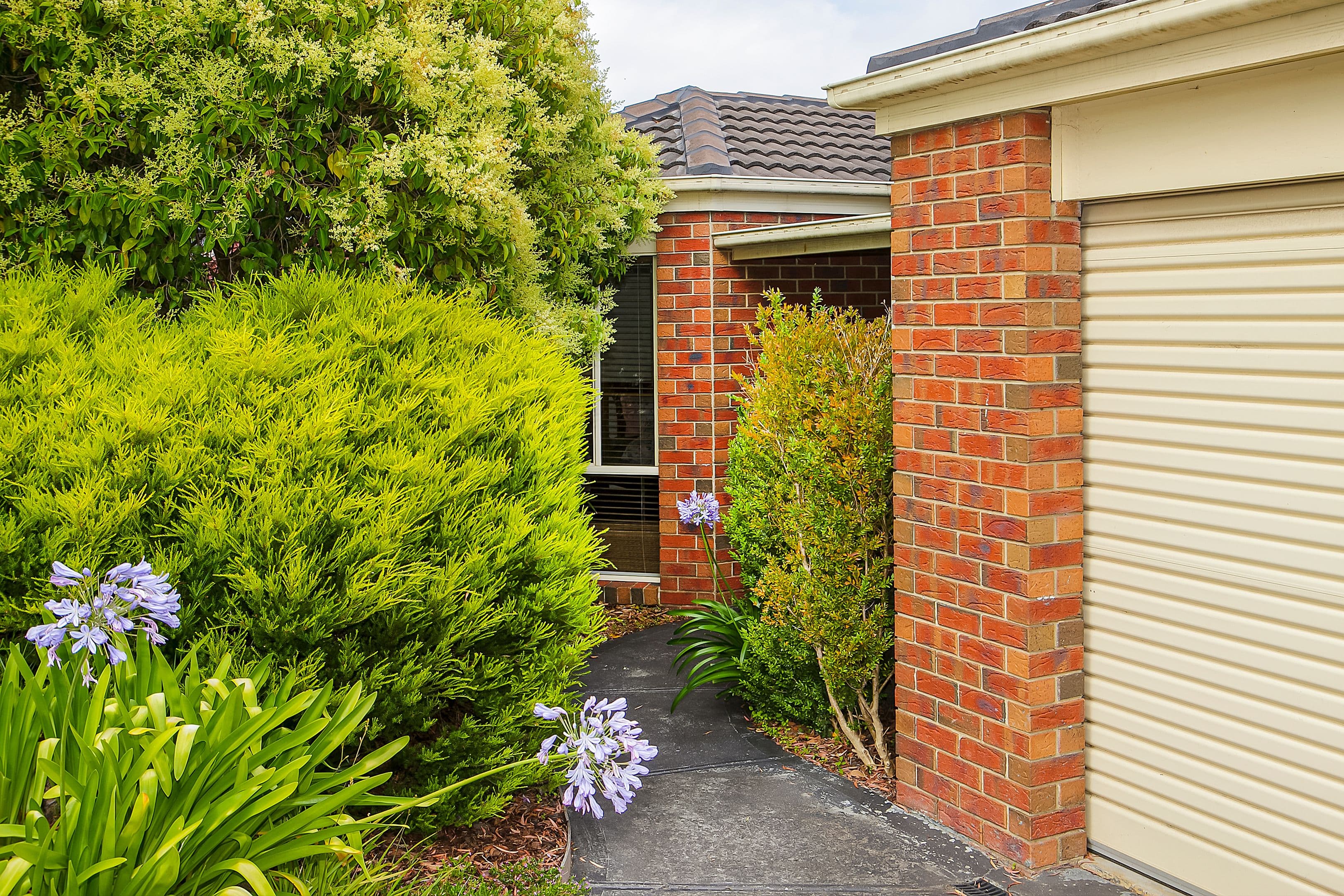 11 Korina Court, Langwarrin VIC 3910, Langwarrin - Thumbnail 2