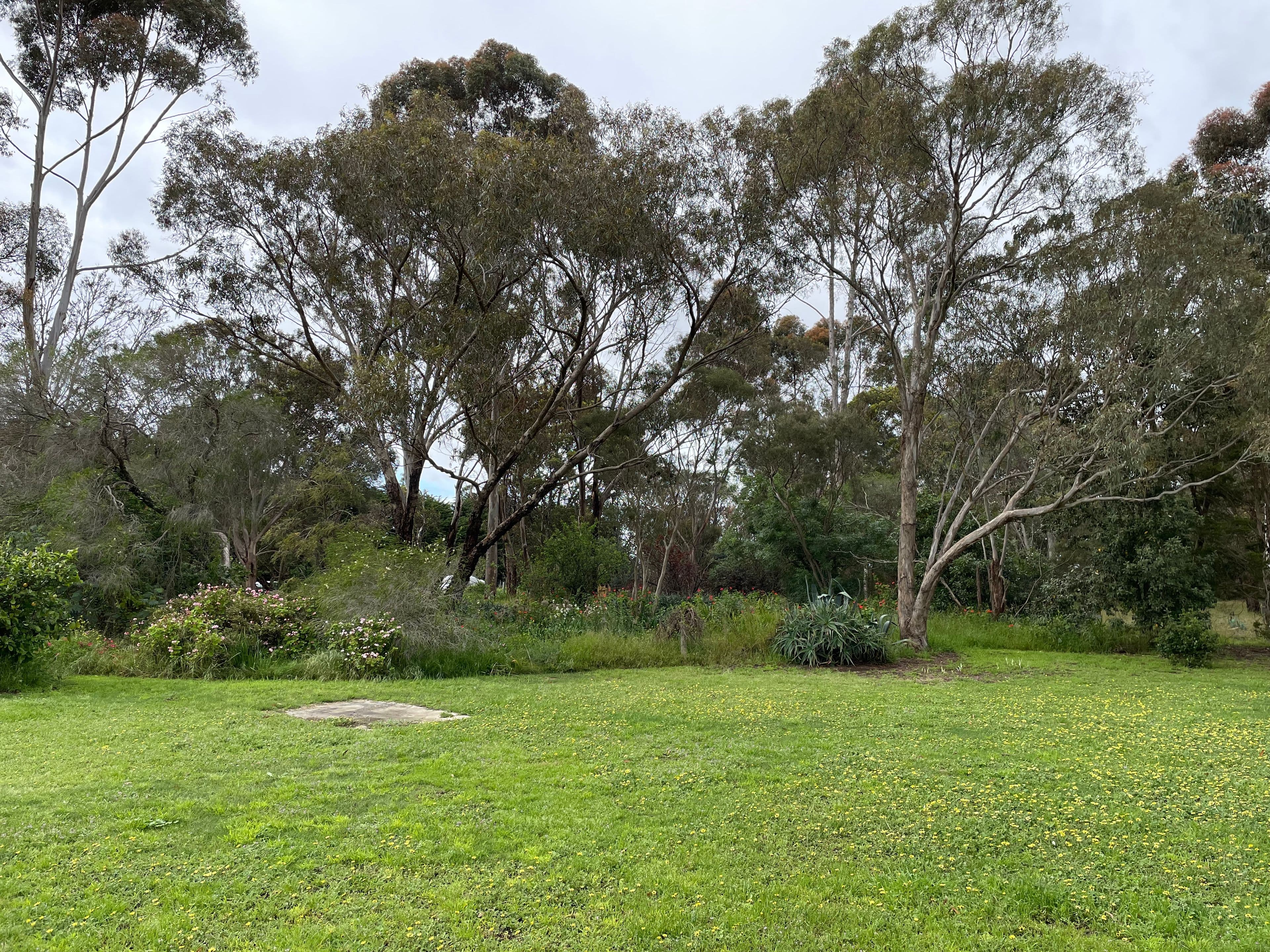 314-318 Bellarine Highway, MOOLAP VIC 3224, Moolap - Thumbnail 7