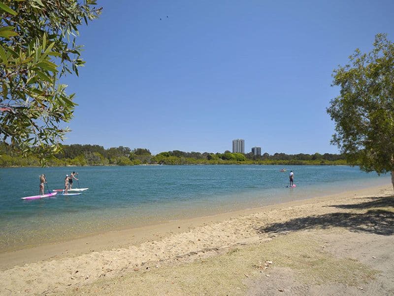 4 Carolina Close, Elanora QLD 4221, Elanora - Thumbnail 6