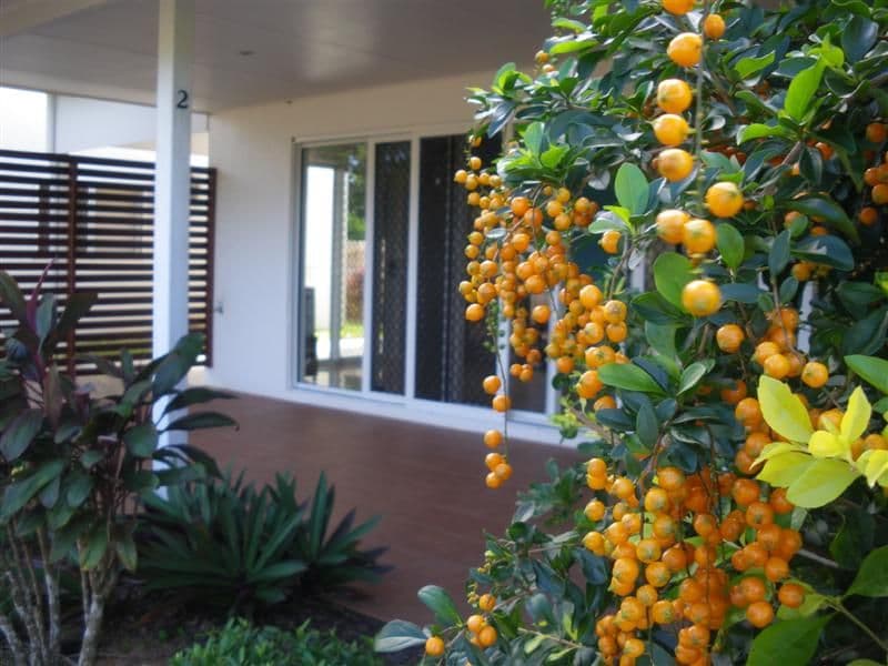 SOUTH MISSION QLD 4852, South Mission Beach - Thumbnail 5